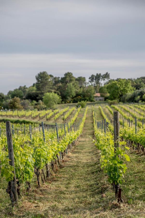 Domaine Rabiega - Vineyard And Boutique Hotel Draguignan Ngoại thất bức ảnh