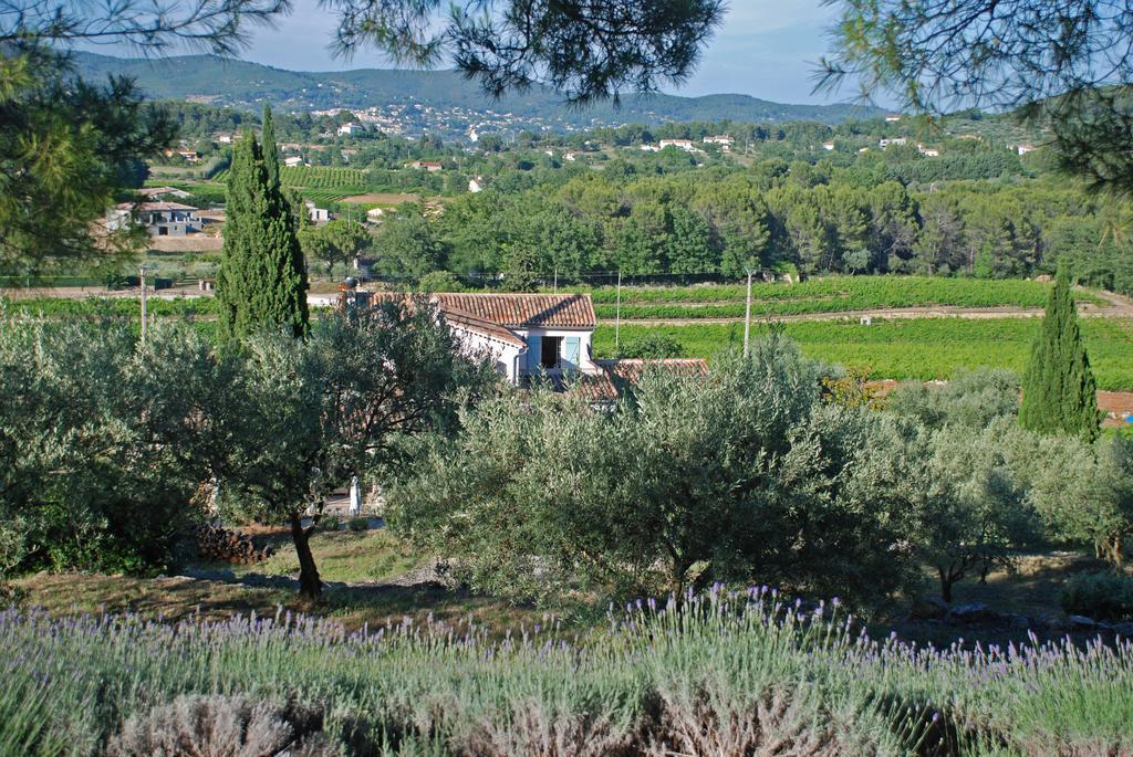 Domaine Rabiega - Vineyard And Boutique Hotel Draguignan Ngoại thất bức ảnh