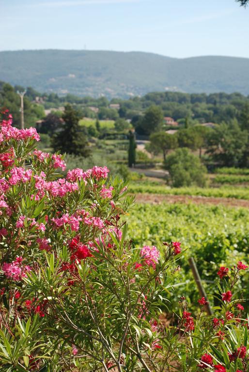 Domaine Rabiega - Vineyard And Boutique Hotel Draguignan Ngoại thất bức ảnh