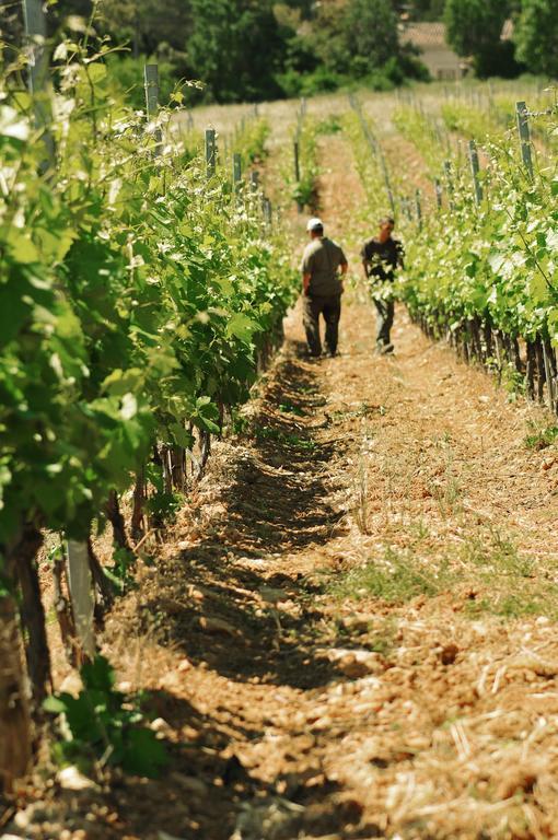 Domaine Rabiega - Vineyard And Boutique Hotel Draguignan Ngoại thất bức ảnh