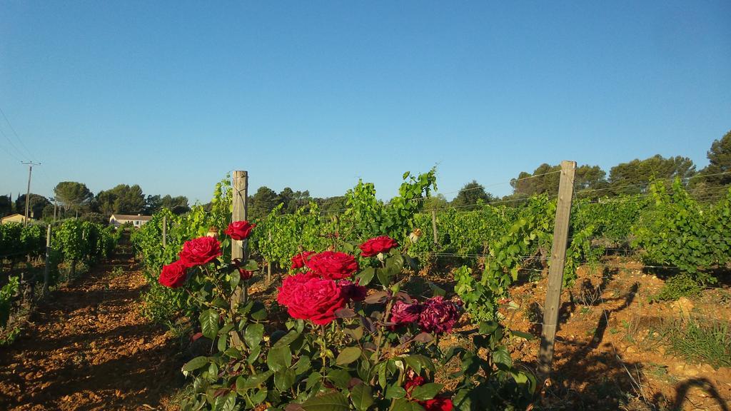 Domaine Rabiega - Vineyard And Boutique Hotel Draguignan Ngoại thất bức ảnh
